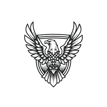Detailed illustration of an eagle bird 1.