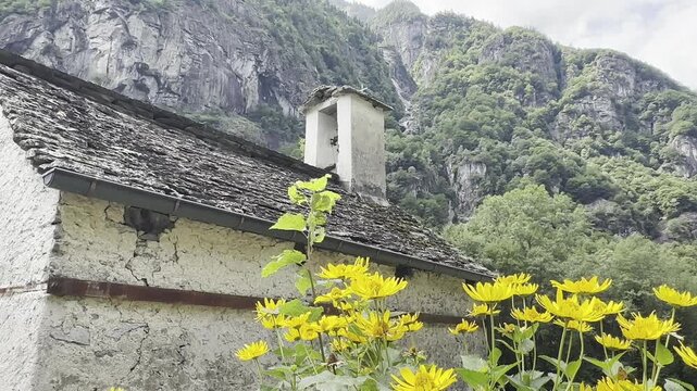 Stone chapel in Sabbioni with yellow spring flowers, Val Bavona, SwitzerlandProject