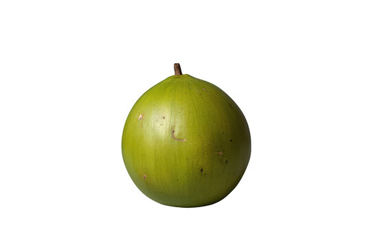 Whole canistel tropical fruit, pouteria campechiana, fresh egg fruit on transparent background, organic yellow sapote