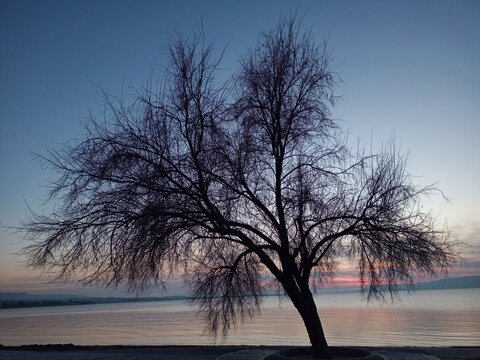 oleaster sunset, dardanelles, hellespont