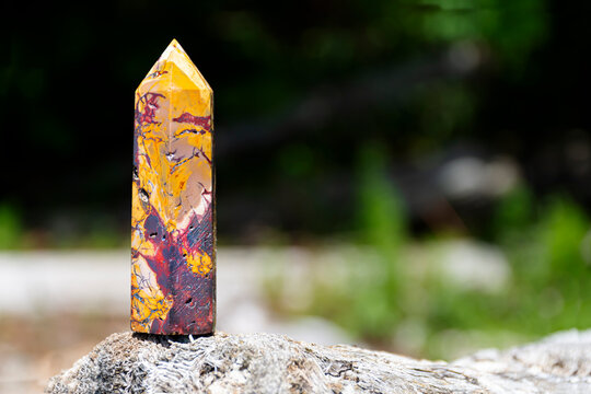 A close up view of a Mookaite Jasper crystal tower resting on a large piece of driftwood with thick green vegetation in the background. 