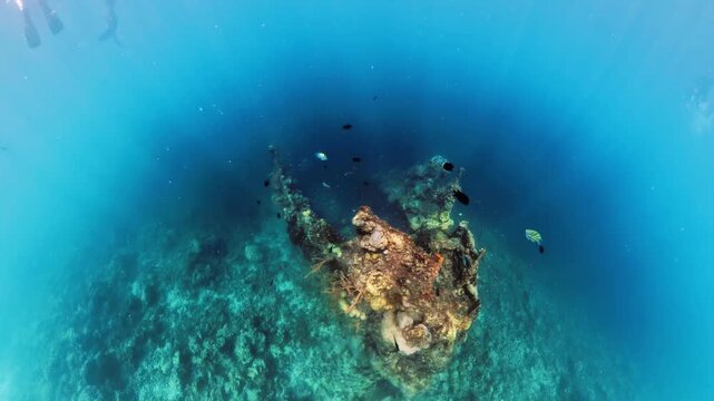 Woman snorkeling in clear blue water. Apnea in famous Skeleton ship Wreck, a popular dive and snorkel site now covered in corals and marine life. Coron island, Palawan, Philippines.