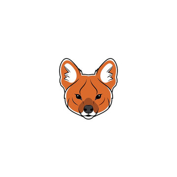 Vibrant illustration of a majestic wild dog head, showcasing the unique features of an Asian dhole with its striking orange fur and powerful, direct gaze, ideal for wildlife enthusiasts and branding