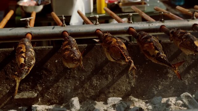 Whole mackerel fish roasting on skewers over hot charcoal embers. Traditional outdoor street food cooking process on grill. Culinary preparation for picnic festival and tasty meal.
