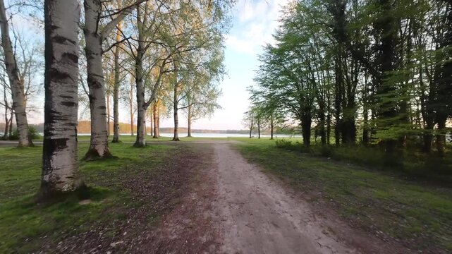 Recreatiegebied Bussloo Apeldoorn, The Netherlands | Cinematic Aerial Lake View