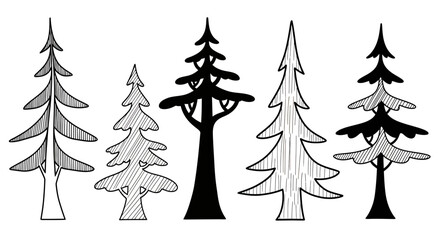 Obraz premium Stylized Hand Drawn Evergreen Trees Collection Black and White Illustration.