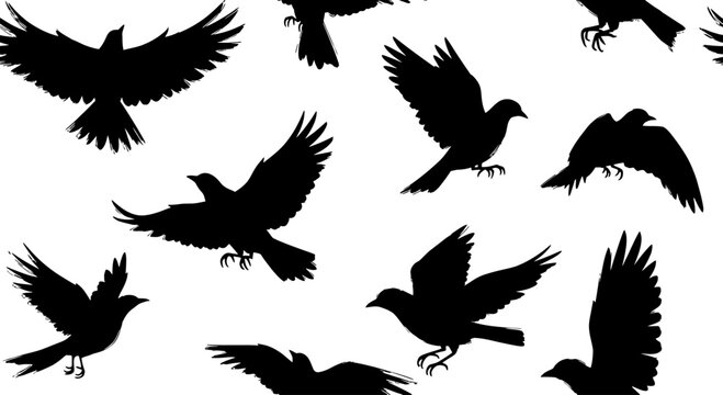 Silhouettes of various birds in flight on a white background.