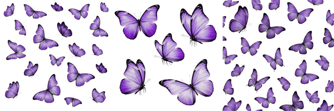 Purple Butterflies Collection PNG, Natural Flying Insect Clipart Illustration, Botanical Garden Life Graphic, Summer Nature Design Element, Whimsical Animal Art PNG set