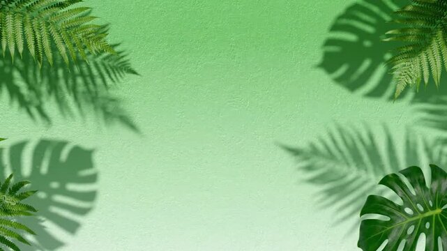 Green gradients tropical leaf fern monstera shadow textured background nature botanical summer fresh vibrant organic garden foliage decorative pattern natural light soft texture environment