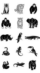 Obraz premium Collection of various wild animals.