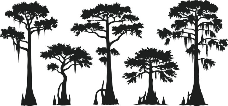 Collection of southern cypress and swamp tree silhouettes