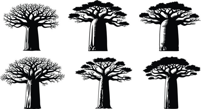 African baobab tree silhouette collection