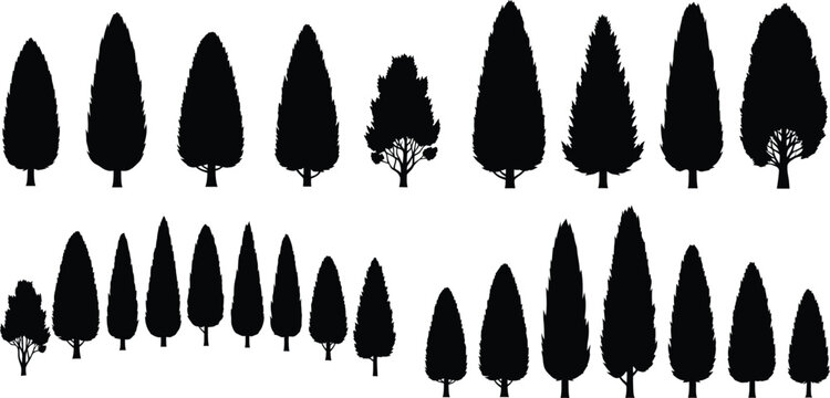 Assorted cypress and ornamental tree silhouettes with tree silhouette with design asset with tree icon with black silhouette with garden design with silhouette collection