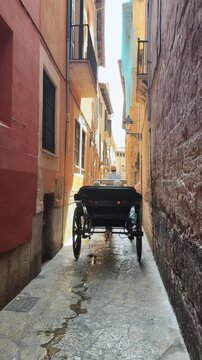 Horse Drawn Carriage Tour Through Narrow Historic Street Palma de Mallorca