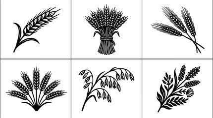Fototapeta premium Wheat and oat sprigs with stalks and grains