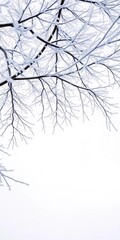 Fototapeta premium Frosted white branches of a winter tree reaching towards a pale sky, capturing the stillness of the season, pale sky, quiet beauty