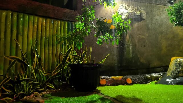 Garden corner at night with rain falling on plants and soft light creating calm outdoor environment with natural textures Nature concept