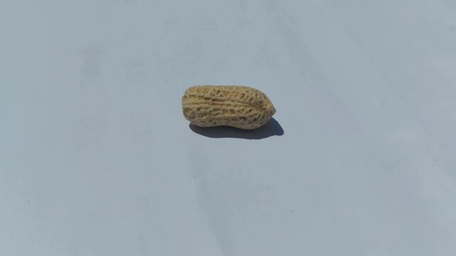 footage of  Peanuts (Arachis hypogaea) are legume plants that are rich in nutrients and have many health benefits. roasted peanuts with a rich golden brown color, showcasing  natural appearance. 