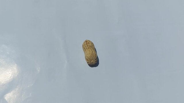 footage of  Peanuts (Arachis hypogaea) are legume plants that are rich in nutrients and have many health benefits. roasted peanuts with a rich golden brown color, showcasing  natural appearance. 
