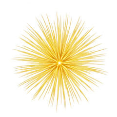 Fototapeta premium A bright yellow explosion of light and energy isolated on transparent background