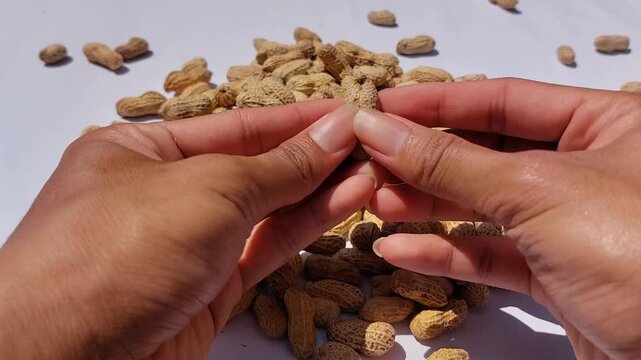 footage of  Peanuts (Arachis hypogaea) are legume plants that are rich in nutrients and have many health benefits. roasted peanuts with a rich golden brown color, showcasing  natural appearance. 