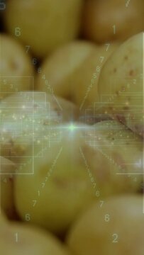 Vertical video: Yellow spuds filling frame while camera zooming in activating HUD grading produce