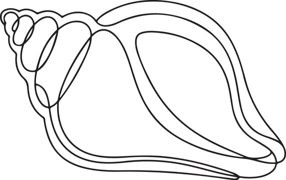 Sea shell one line continuous drawing. Tropical underwater shell continuous one line illustration. one line art icon drawing vector