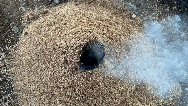 Traditional rice husk carbonization process in a pyramid pile with smoke coming out from the chimney.