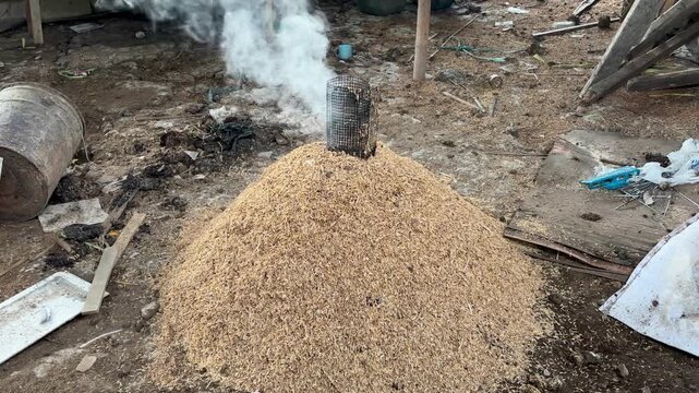 Traditional rice husk carbonization process in a pyramid pile with smoke coming out from the chimney.
