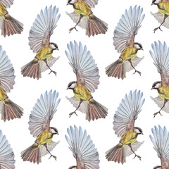 Watercolor seamless pattern with flying titmouse on white background. Wild yellow bird for card or celebration invite. Summer or spring time animal with wing. Nature botanical wallpaper or wrapping © NatashaKun