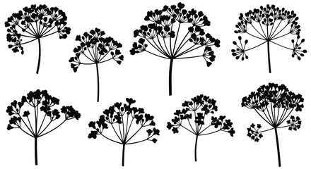 Naklejka premium Adobe Illustrator Artwork