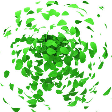 Green leaves falling and spinning