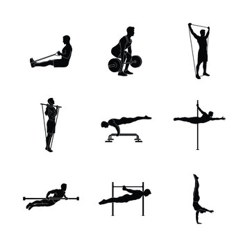 Comprehensive Bodyweight Fitness and Strength Training Silhouettes Collection of Pull Ups, Handstands, Barbell Bench Press, Core Planks, Floor Stretching, Leg Lifts, and Profess