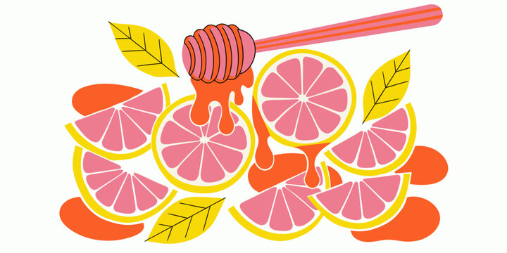Stylized graphic illustration of a honey dipper dripping sweet orange liquid over fresh pink grapefruit slices and yellow leaves with grapefruit illustration ingredient culinary breakfast