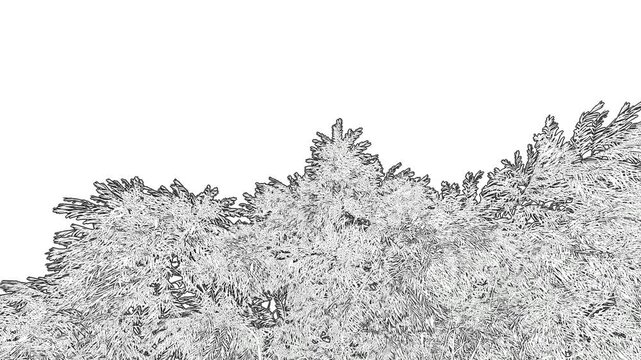 Abstract Grainy Black and White Forest Canopy Silhouette