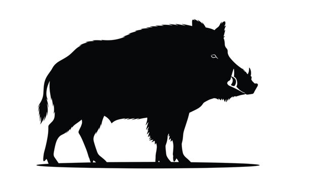 Detailed black silhouette of a wild boarf or pig, captured in a natural standing pose, representing wildlife and hunting.