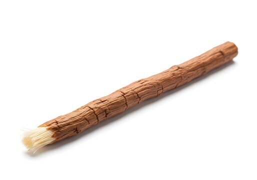 Natural Miswak Twig Arak Tree Chewing Stick for Dental Health Practices; Sustaining Oral Hygiene with Traditional Root Brush - Promoting Natural Tooth Care  Fresher Breath