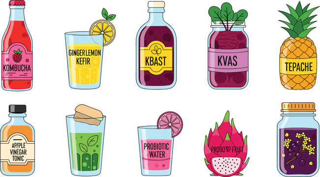 Healthy Fermented Probiotic Beverage Vector Illustration Set Featuring Kombucha, Kefir, Kvass, Tepache, Apple Cider Vinegar Tonic, and Dragon Fruit Drinks for Wellness Menus