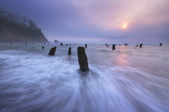Submerged ancient tree stumps with slow-shutter waves at sunset, Neskowin Ghost Forest, Oregon