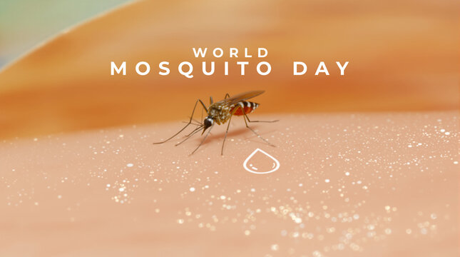 World Mosquito Day Concept Image, highlighting malaria prevention, insect control, and health protection.