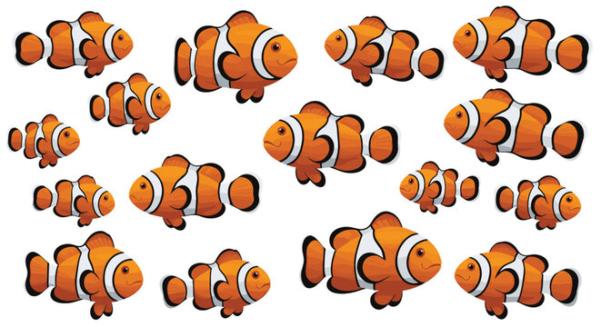 Vibrant seamless pattern of orange clownfish swimming in different directions on a white background for aquarium art.