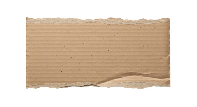 Torn piece of cardboard on a transparent background for mockup purposes