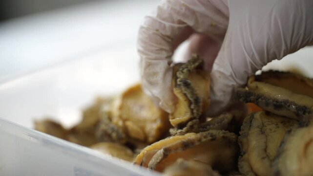 Fresh and chewy raw abalone meat Korean seafood