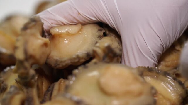 Fresh and chewy raw abalone meat Korean seafood