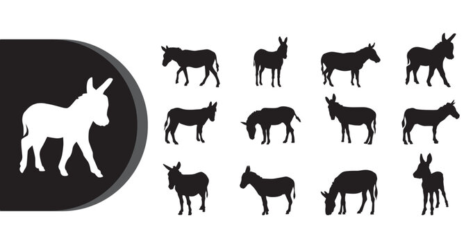 A collection of donkey silhouettes in various poses on a white background