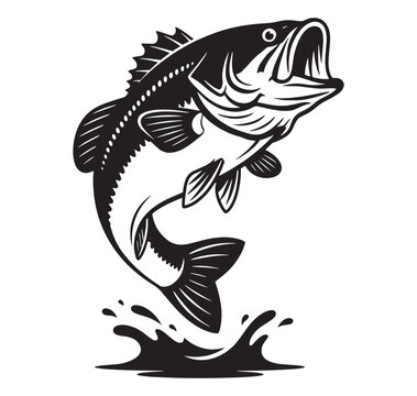A large fish jumping out of water with a big splash  dynamic aquatic scene