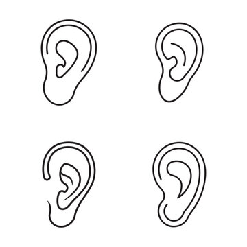 Four black line drawing human ear illustrations in different angles and positions  human ear anatomy  ear shapes