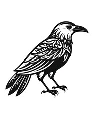 Obraz premium A black and white illustration of a bird with detailed feathers
