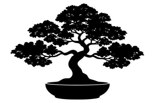 bonsai tree vector,  bonsai tree silhouette vector, bonsai icon black symbol
