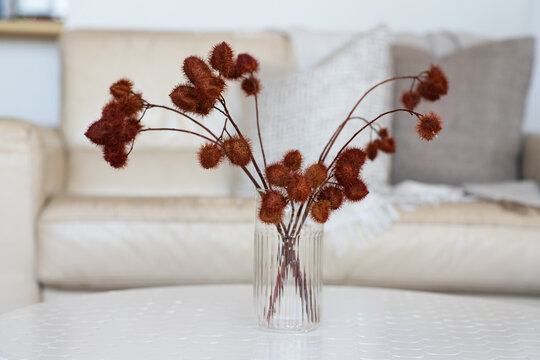 dried seed pods as a decor item at home